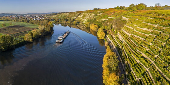 Steillagen-Panorama in Richtung Kirchheim am Neckar